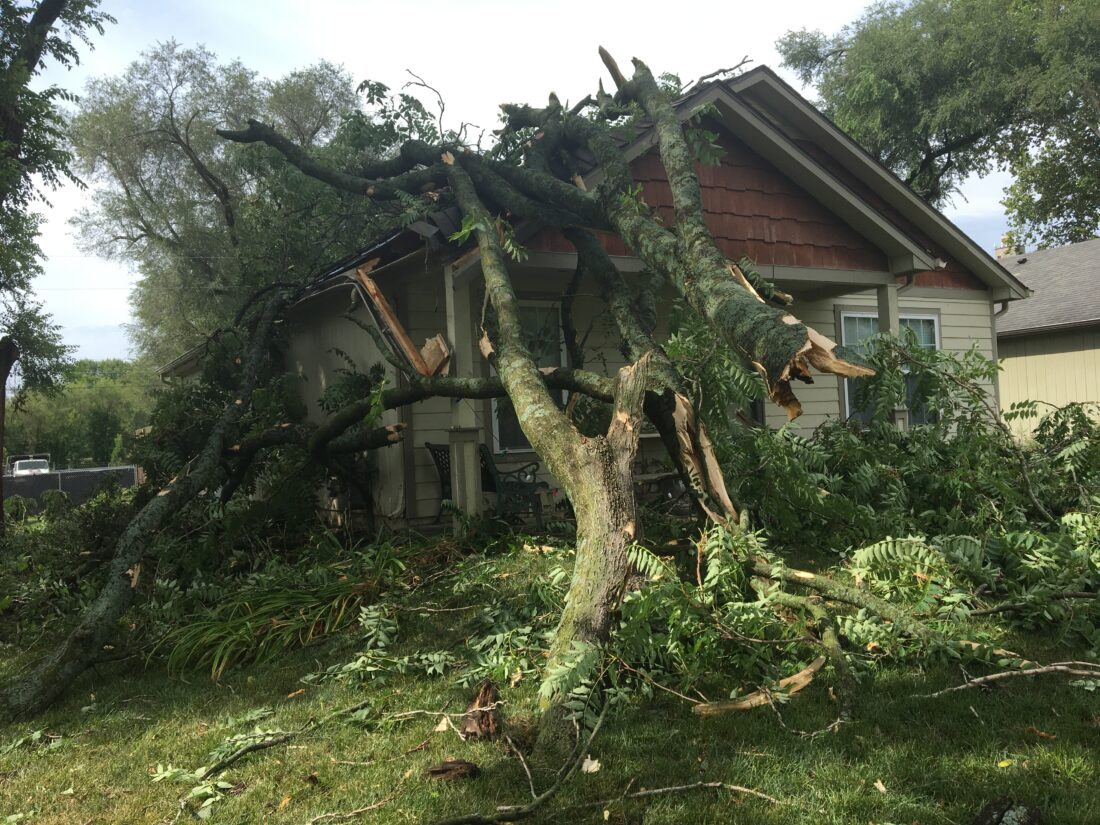 Estimated wind gusts exceeding 60 mph damage trees, cause outages ...